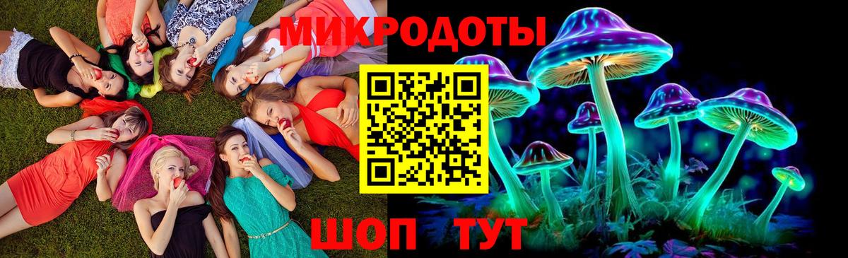 Галлюциногенные грибы Psilocybine cubensis Ростов-на-Дону